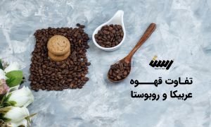 تفاوت قهوه عربیکا و روبوستا
