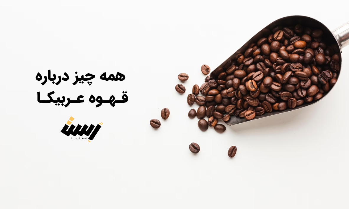 همه چیز درباره قهوه عربیکا