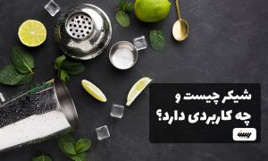 شیکر دستی و انواع آن
