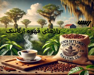 رازهای قهوه ارگانیک: ۱۰ دلیلی که شما را به نوشیدن این معجون طبیعی ترغیب می‌کند