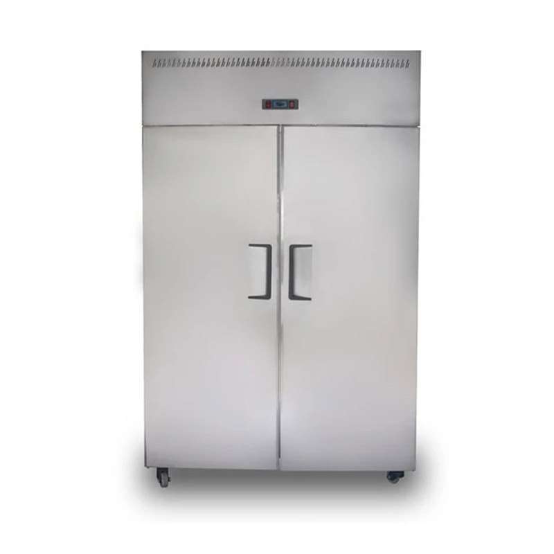 فریزر صنعتی ایستاده دو درب
