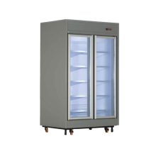 یخچال فروشگاهی ویترینی دو درب مدل RV21