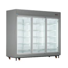 یخچال فروشگاهی کینو ویترینی دودرب مدل RV31SW